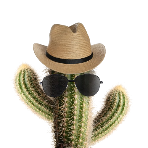 Cactus Digit creative direction